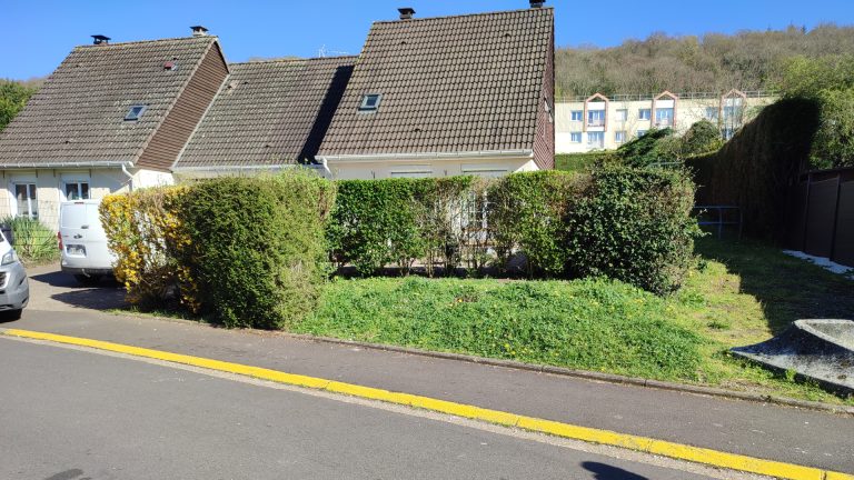 Maison avec haie
