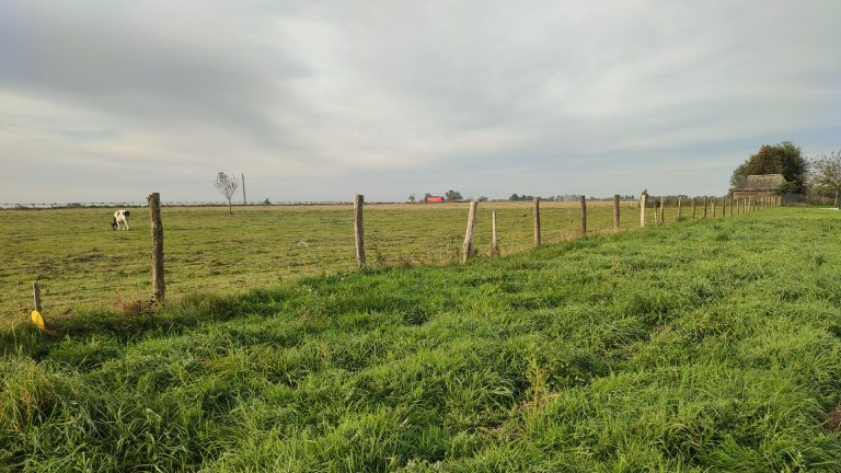 photo d'une ancienne clôture dans un champ